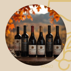 Herfst Verrassingspakket – 6 Italiaanse wijnen