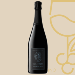 Camilucci Franciacorta Saten BRUT