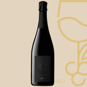 Camilucci Franciacorta ST (Vintage)