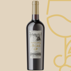 MI GARBA Irpinia Aglianico D.O.C. 2024 BIO – Terre di Valter