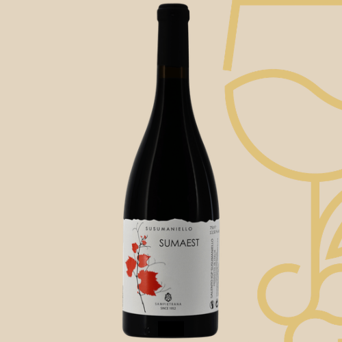 Fles Sumaest Susumaniello Salento IGP van Cantina Sampietrana